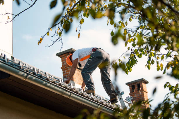 Best Roof Gutter Cleaning  in Leonville, LA