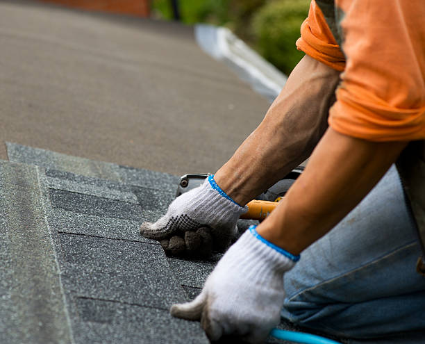 Best Roof Gutter Cleaning  in Leonville, LA