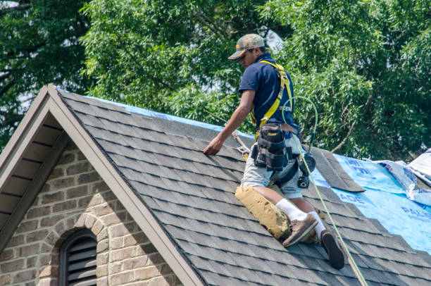 Best Roof Gutter Cleaning  in Leonville, LA